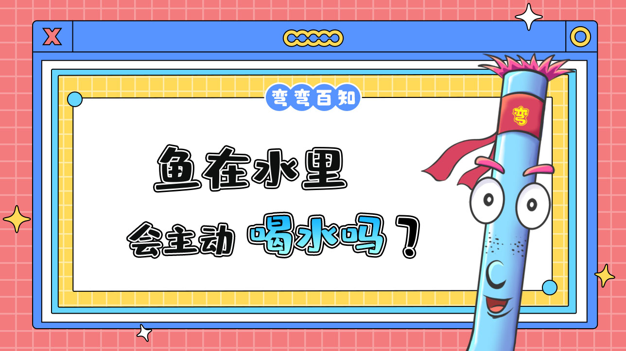 魚在水里會(huì)主動(dòng)喝水嗎？.jpg