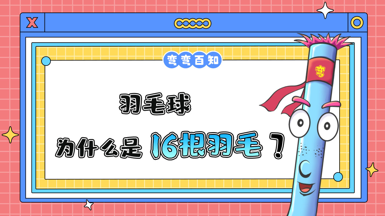為什么羽毛球是16根羽毛？.jpg