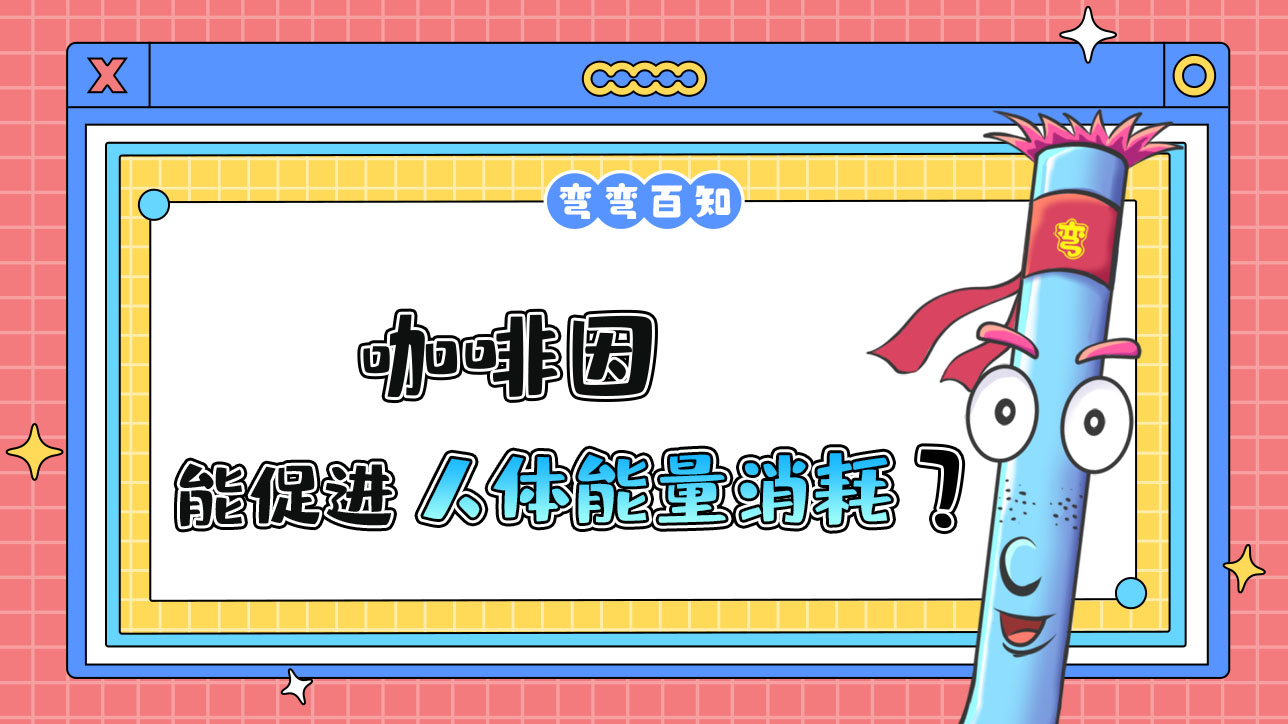 咖啡因能促進人體的能量消耗嗎？.jpg