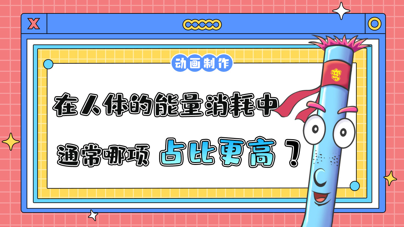 在人體日常的能量消耗中通常哪一項(xiàng)占比更高？.jpg