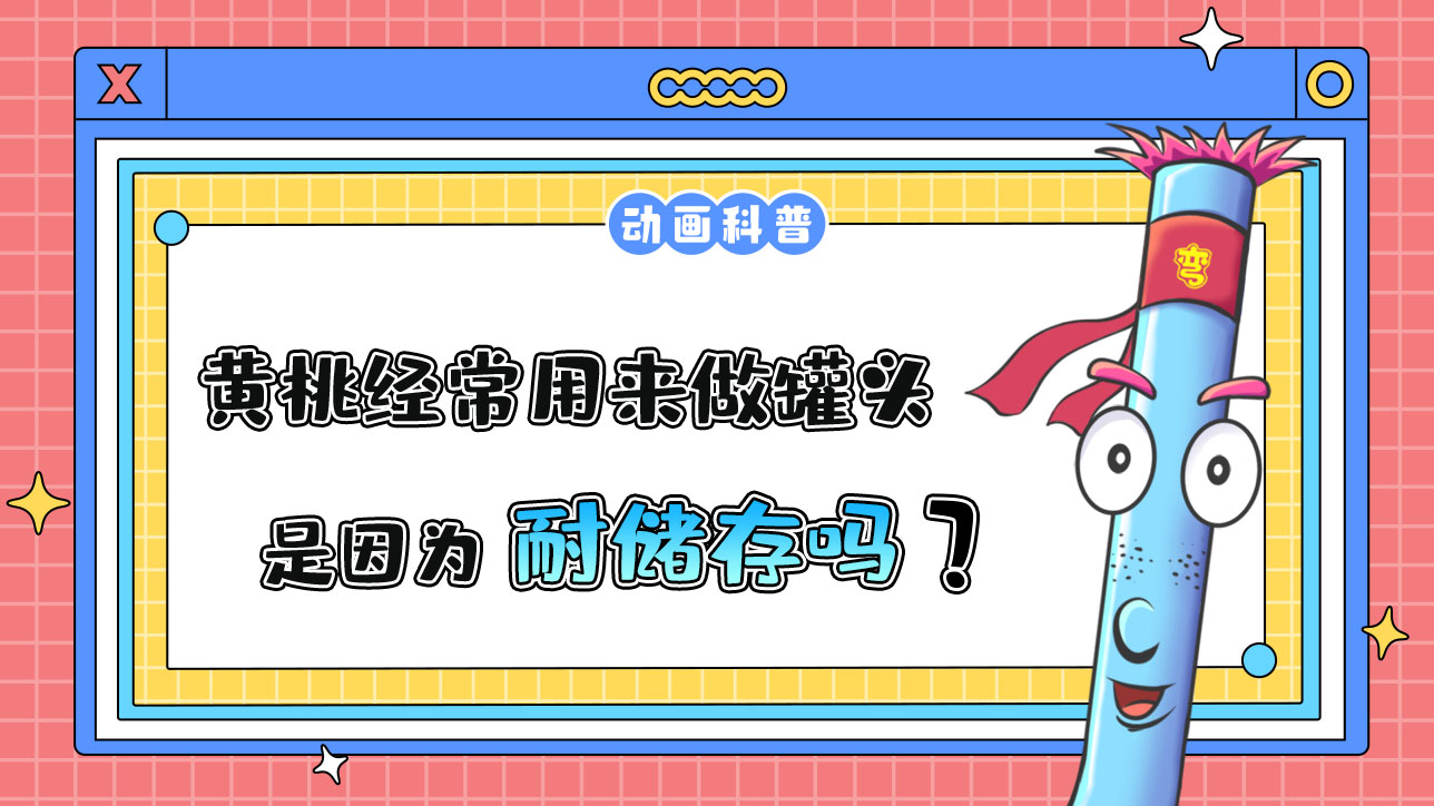 黃桃經(jīng)常用來做罐頭，是因為耐儲存嗎？.jpg