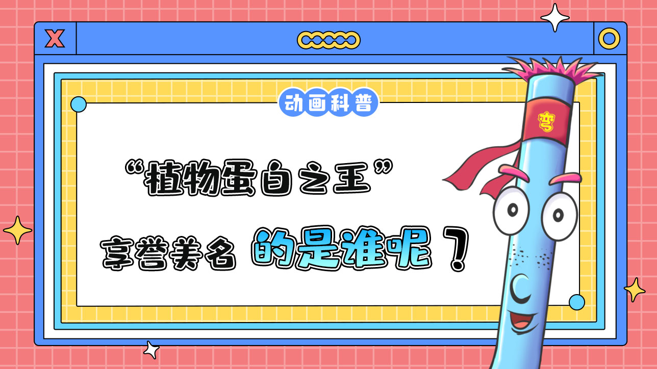 被譽(yù)為“植物蛋白之王”的是誰呢？.jpg
