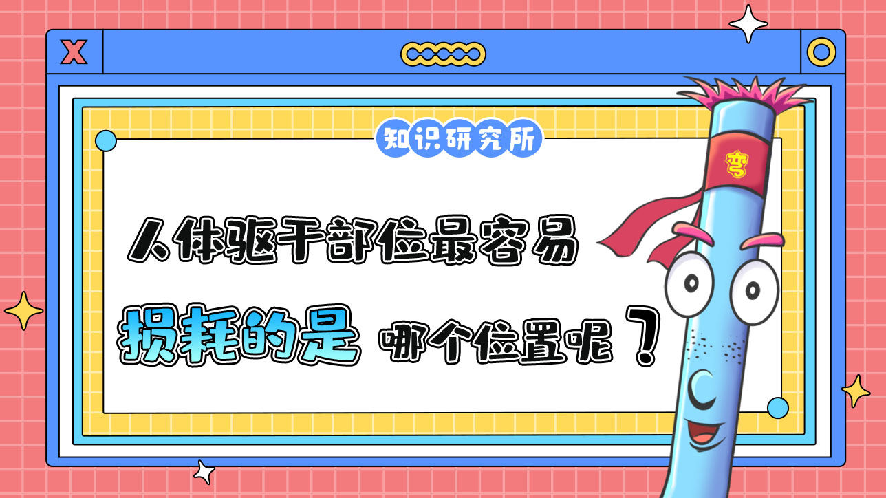 人體驅(qū)干部位最容易損耗的是哪里呢？.jpg