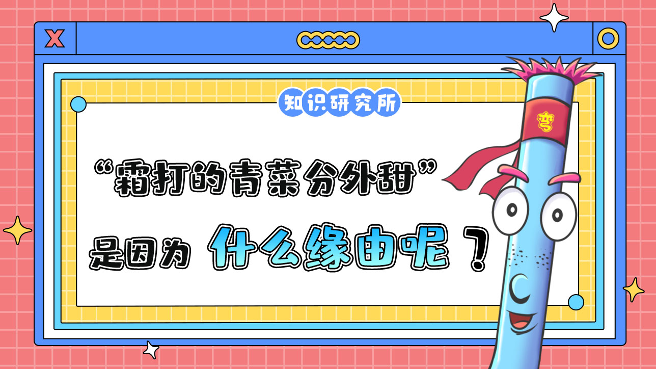 俗話說“霜打的青菜分外甜”，是因為什么呢？.jpg