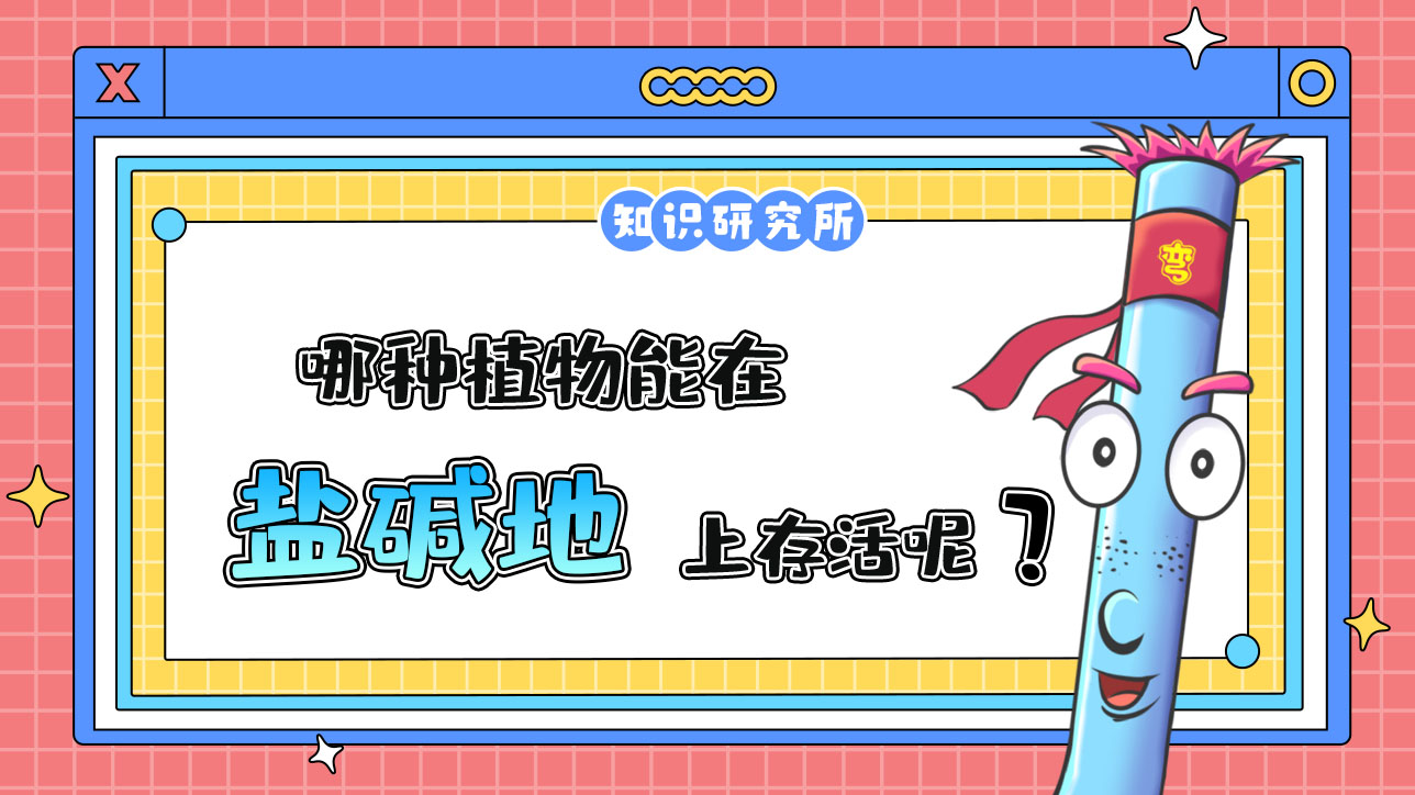 哪種植物能在鹽堿地上存活呢？.jpg