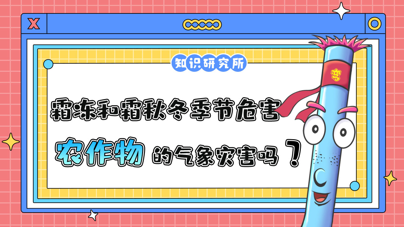 霜凍和霜是秋冬季節(jié)危害農作物的氣象災害嗎？1288.jpg