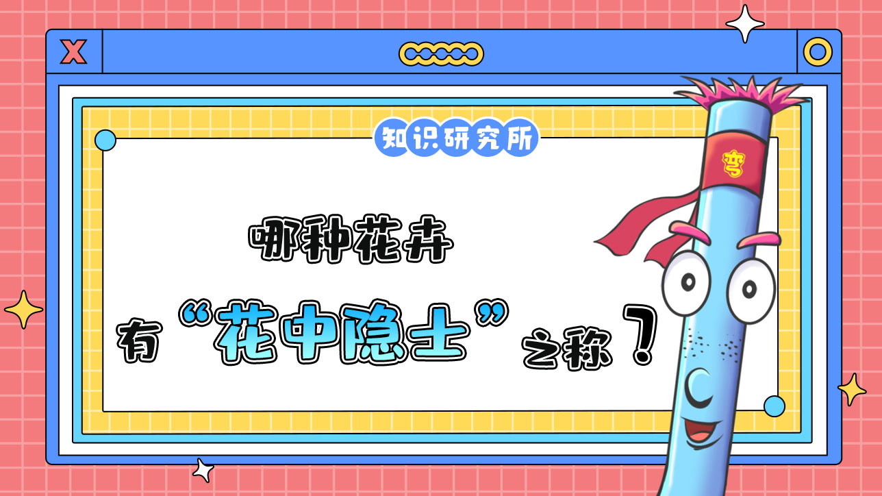 哪種花卉有“花中隱士”之稱？.jpg