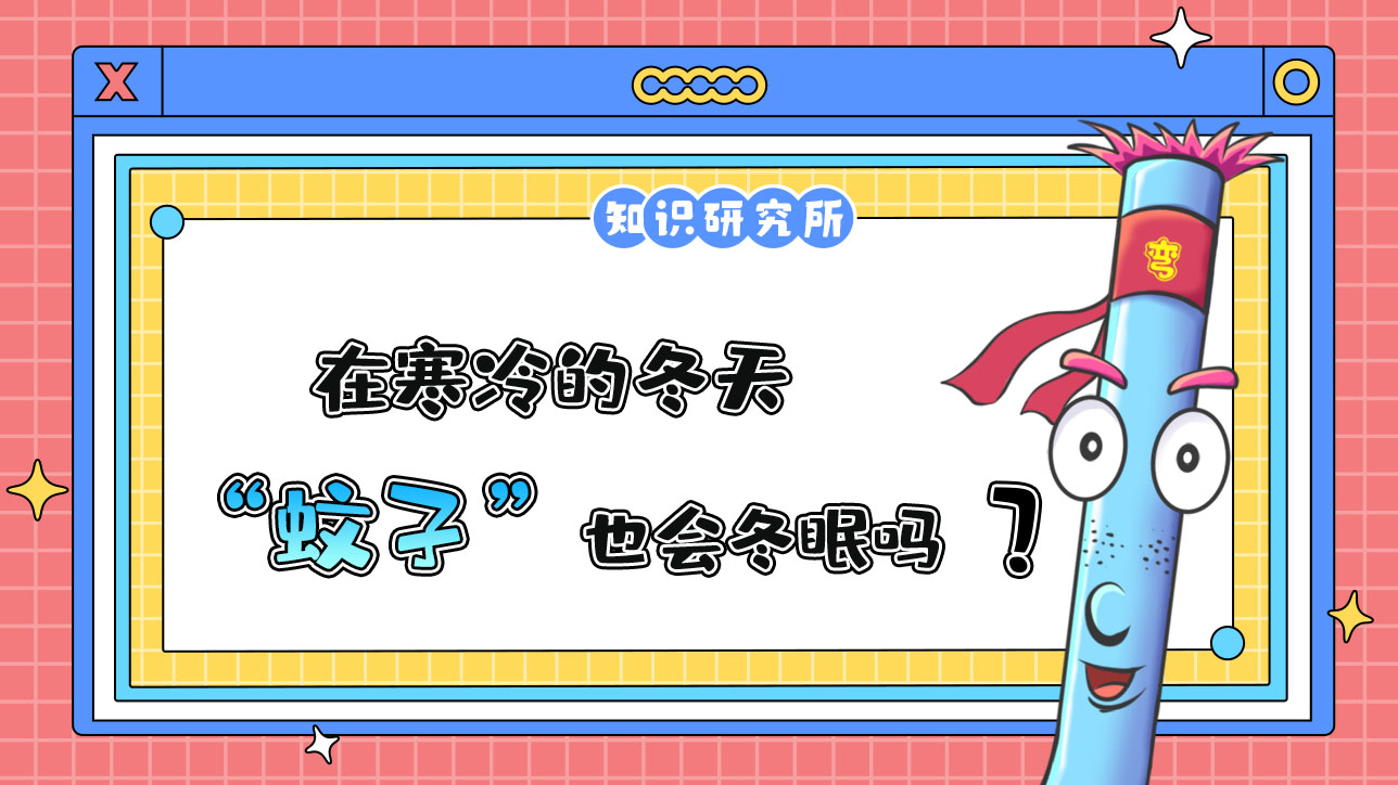 在寒冷的冬天，蚊子也會冬眠嗎？.jpg