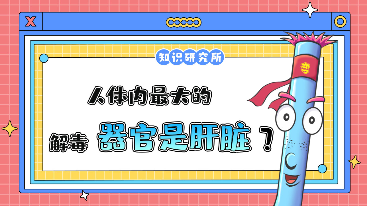 人體內(nèi)最大的解毒器官是肝臟？.jpg