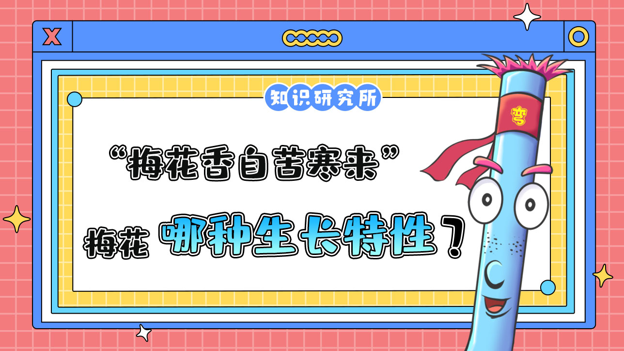 “梅花香自苦寒來”說的是梅花的哪種生長特性？.jpg